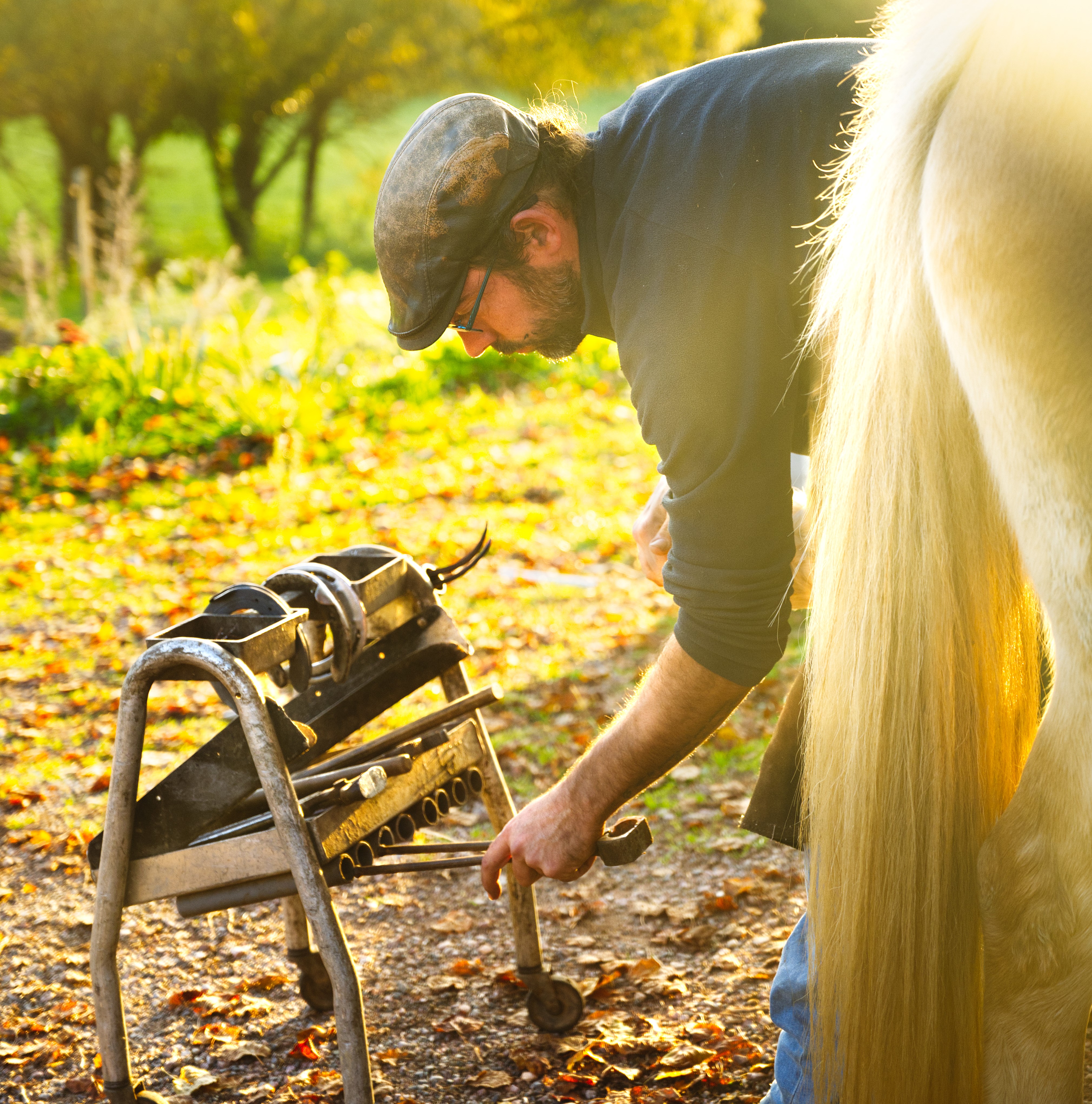 Maréchal-ferrant et outils